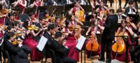 Orquesta Sinfónica Juvenil de Caracas & Dietrich Paredes. Le mardi 20 octobre 2015 à Toulouse. Haute-Garonne.  20H00